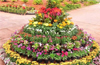 Udupi flower show set to open Feb 10